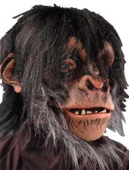 Chimp Mask