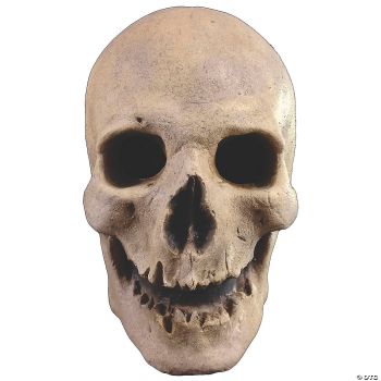 ANTIQUE SKULL MASK