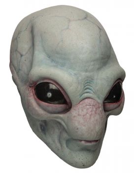 Visitor Adult Mask