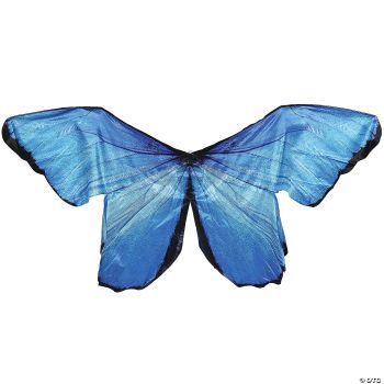 WINGS BLUE MORPH