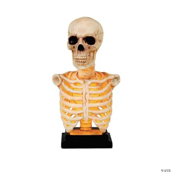 SKELETON BUST