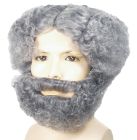 Mad Scientist Wig Set - Gray